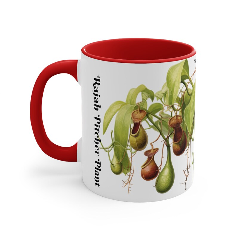 Rajah Pitcher Plant Mug - Exotic Carnivorous Plant Design - Unique Nature Lover Gift - Perfect for Gardeners and Plant Enthusiasts image 3