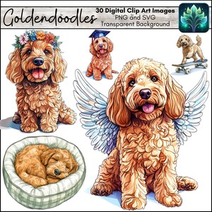 Aquarelle Goldendoodle Clip Art Set dessinés à la main Illustration Style Clipart PNG et fichiers SVG à imprimer à la maison pour Scrapbooking Collage Mood Board