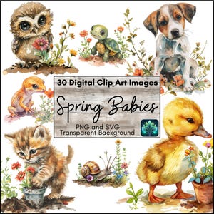 Clipart de animais fofos para bebês e flores da primavera, clipart PNG e SVG para impressão para scrapbooking, decoração de berçário, convites, estilo aquarela