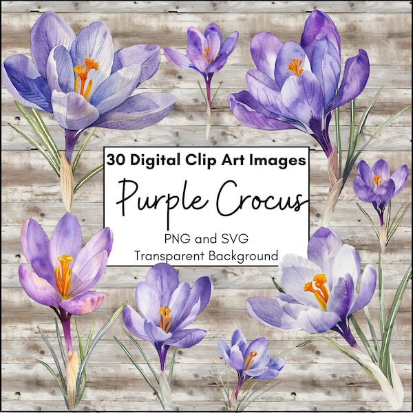 Purple Crocus Floral Digital Clipart Set, Watercolor Flowers Clip Art PNG and SVG, Light Pastel Colors Early Spring Blooms, Scrapbooking