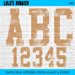 May include: A digital graphic featuring the letters A, B, and C followed by the numbers 1, 2, 3, 4, and 5 in a toasted pecan colour with a distressed, weathered texture. The text Lulu's Rubbish and PNG appear at the top, with descriptive text below.