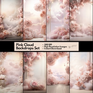 Pink Cloudscape Digital Backdrops Maternity Backdrop Studio Backdrop Overlay Pink Arch Maternity Fine Art Textures Photoshop Overlay JPG