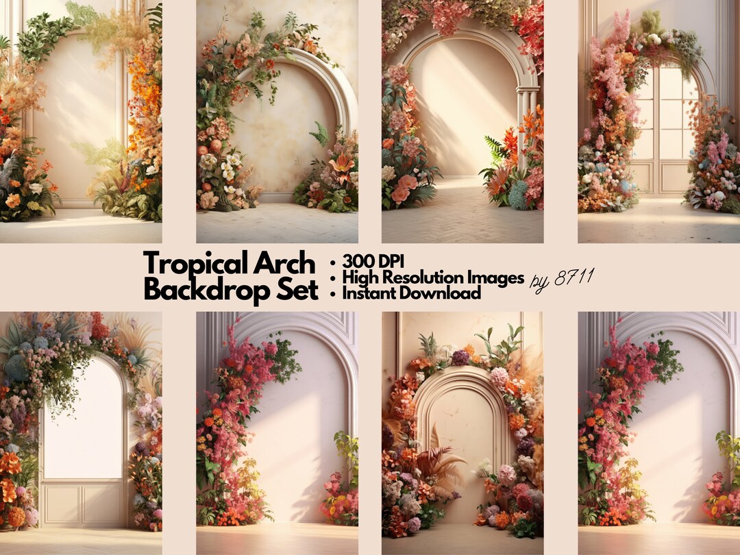 Minimal Arches Set Digital Backdrops, Maternity Backdrop Overlays ...