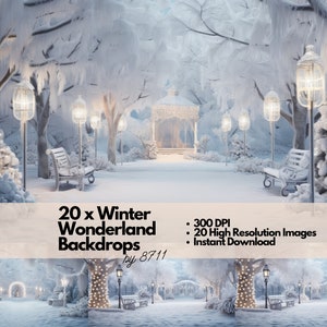 Winter Wonderland Digital Backdrop Set, Maternity Backdrop Overlays, Studio Backdrop Overlays, Fine Art Textures, Photoshop Overlays