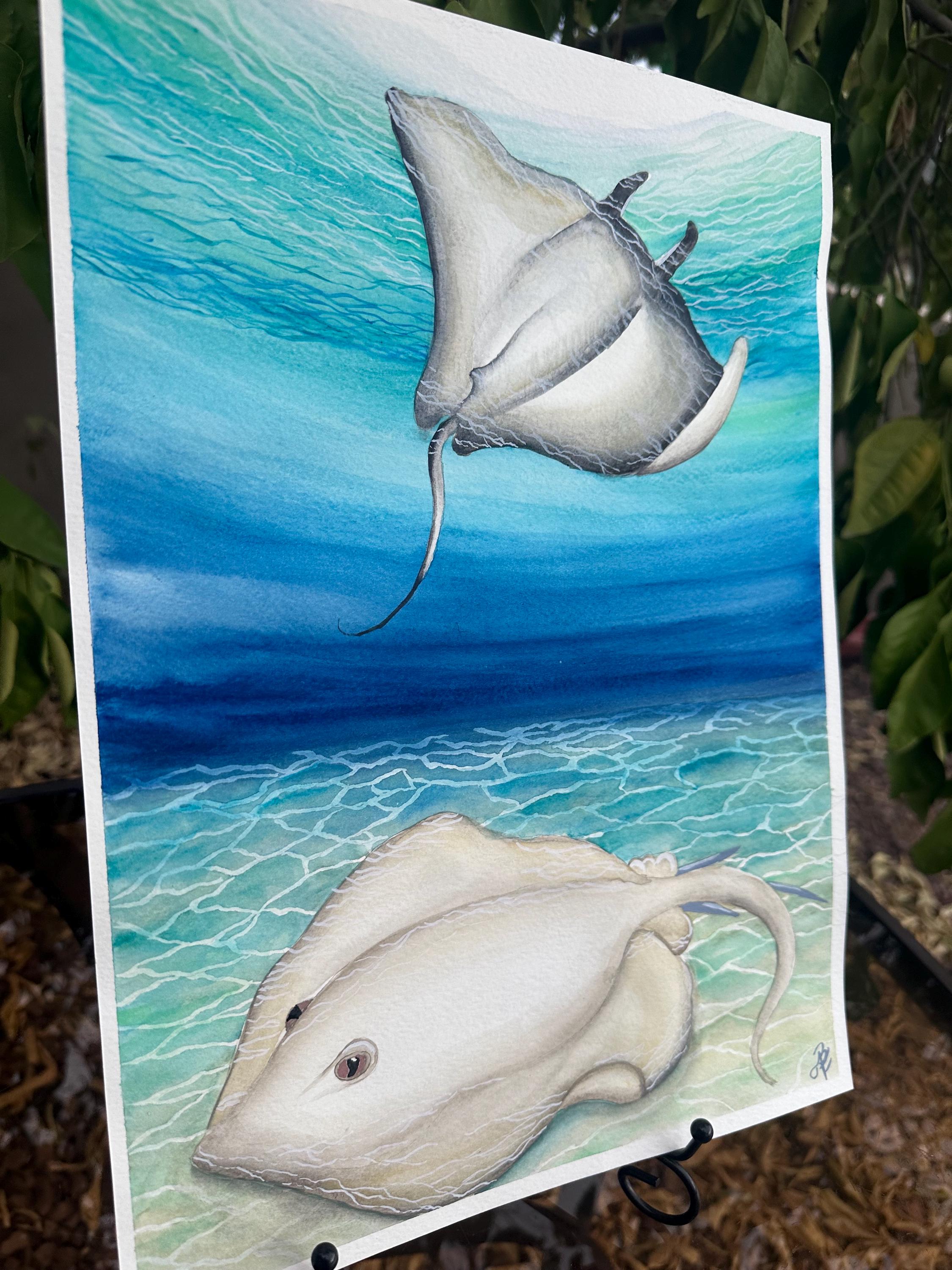 Meerestiere Aquarell | Manta Rochen Kunst | Rochen Aquarell | Strand-Liebhaber-Geschenk
