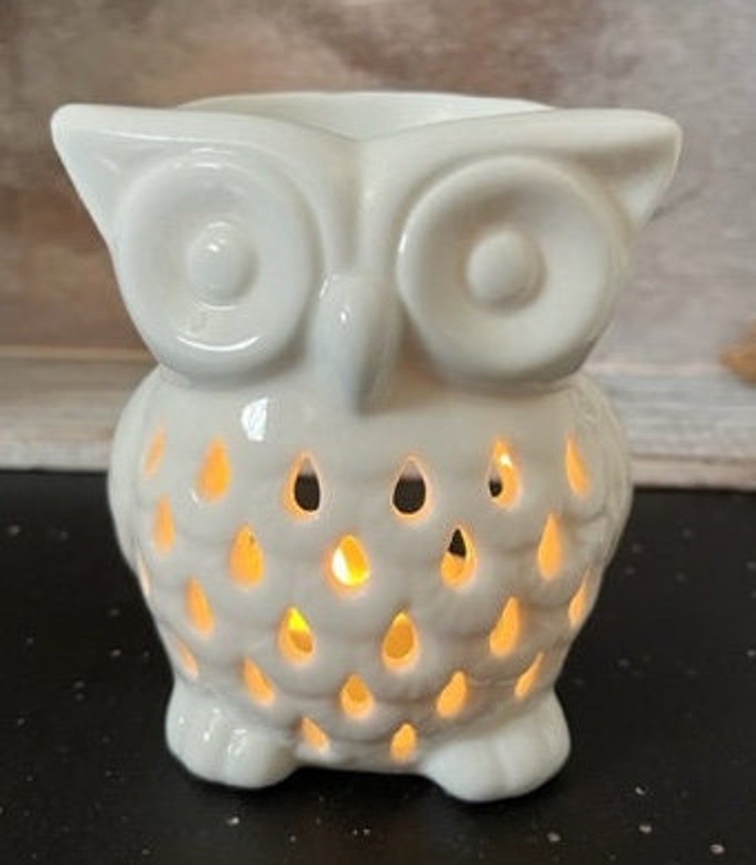 White Owl Wax Warmer Oil Warmer Etsy