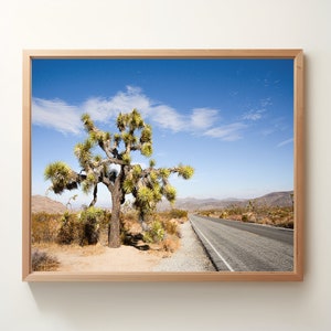 Crociera attraverso Joshua Tree, Joshua Tree National Park California, fotografia digitale, download istantaneo