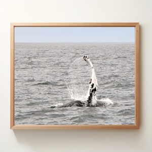 Whale Wave | Nova Scotia, CA | Digital Photography | Instant Download