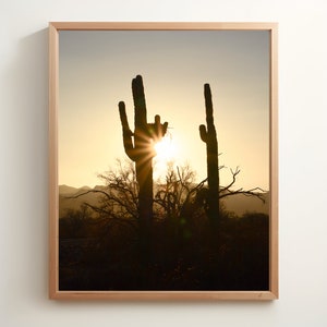 Saguaro Sunrise / Quartzsite, AZ / Fotografía digital / Descarga instantánea