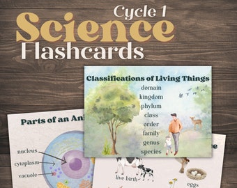 Cycle 1 Science Memory Cards