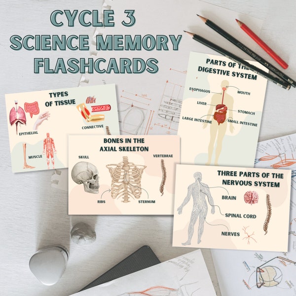Cycle 3 Science Memory Cards