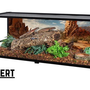 Aquarium Terrarium Background, HD Window Cling Wallpaper, Easy Application - Series 1
