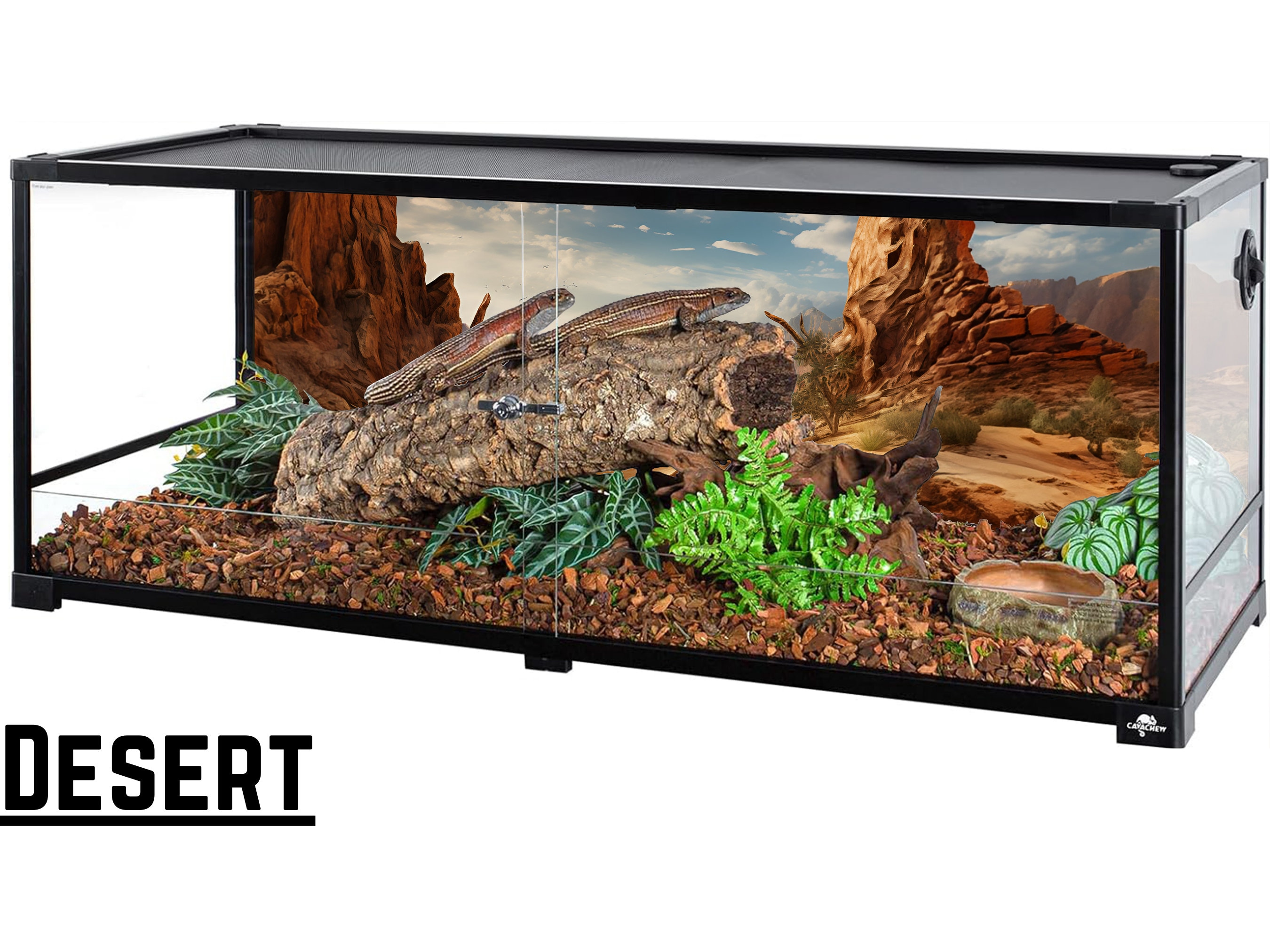 Aquarium Terrarium Background, HD Window Cling Wallpaper, Easy Application - Series 1