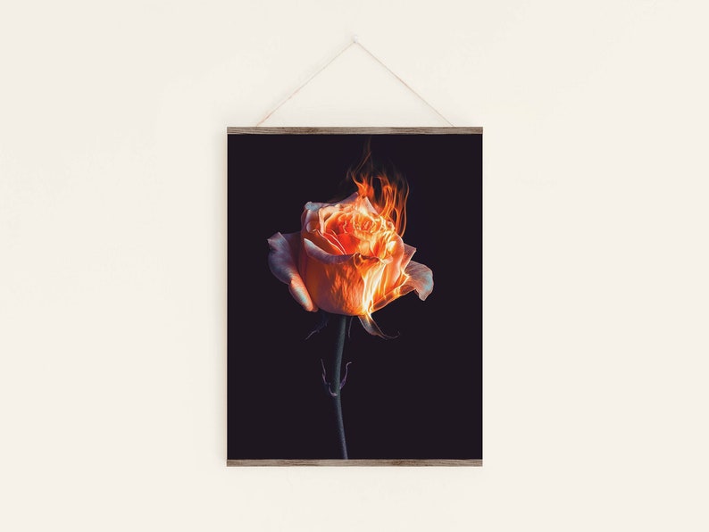 Lo-fi Rose Flowers on Fire PRINTABLE, Film Photo, Smoke Bomb, Flower ...