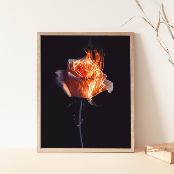 Lo-Fi Rose Flowers on Fire PRINTABLE, Film Photo, Smoke Bomb, Flower Portrait, Trendy Decor, Light My Fire, Album Art, Rose on Black, 35mm