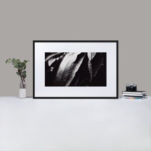 Print Art Unlimited - Fine Art Framed Print - Classical Painting Wall Art Framed Classic Lifestyle Nature Home Décor