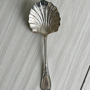 Puede incluir: Una cuchara de servir plateada con un cuenco en forma de concha y un mango largo y adornado. El cuenco de la cuchara tiene un diseño acanalado y el mango presenta un patrón floral decorativo. La cuchara es probablemente de plata de ley.