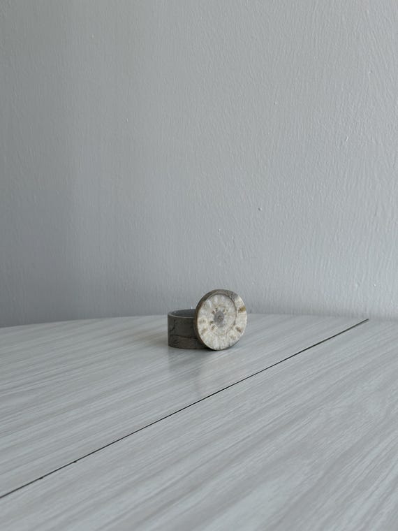 Petite boîte en pierre, accessoire de rangement pour bijoux ou petits objets, fossile d'ammonite, rangement déco, petit cadeau décoratif
