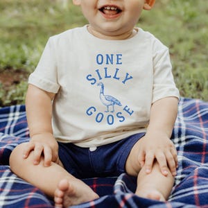 One Silly Goose Shirt Silly Goose Birthday First Birthday Shirt 1st Birthday Shirt 1 Silly Goose Birthday Goose Shirt Silly Goose Tee
