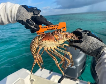 Florida Stone Crab & Lobster Combo Gauge