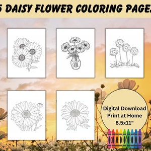 Daisy Flower Coloring Pages Flowers Coloring Pages for Kids Printable Fun Activity Digital Download