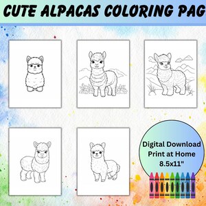 Alpaca coloring pages cute alpacas coloring pages for kids printable fun activity digital download