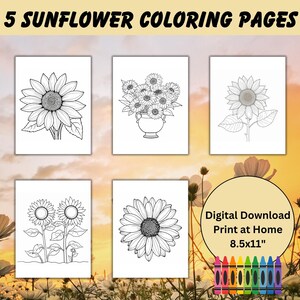 Sunflower Coloring Pages Flowers Coloring Pages for Kids Printable Fun Activity Digital Download