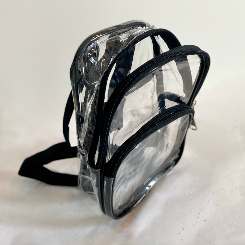 May include: Clear plastic backpack with black straps and zips. The backpack has two main compartments and a small zipped pocket on the front.