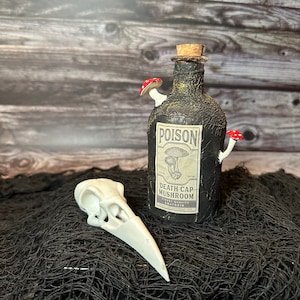 Poison Mushroom Potion Bottle—Witchy Halloween Decor