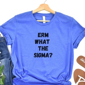 Erm What The Sigma Unisex, Trendy Shirt, Unisex, Gift for Boyfriend, Gift for her, Meme T Shirt, Funny Tee, Skibidi Sigma, Gyat