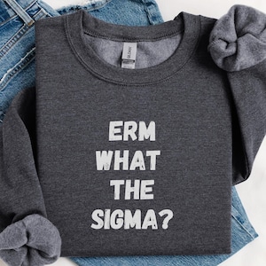 Erm What The Sigma Sweater, Trendy Unisex Sweater, Gift for Boyfriend, Gift for her, Meme Sweater, Funny Sweater, Skibidi Sigma,Gen Z, wht