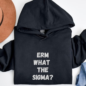 Erm What The Sigma Unisex Hoodie, Trendy Shirt, Gift for Boyfriend, Gift for her, Meme Shirt, Funny Sweater, Skibidi Sigma, Gyat, Gen Z