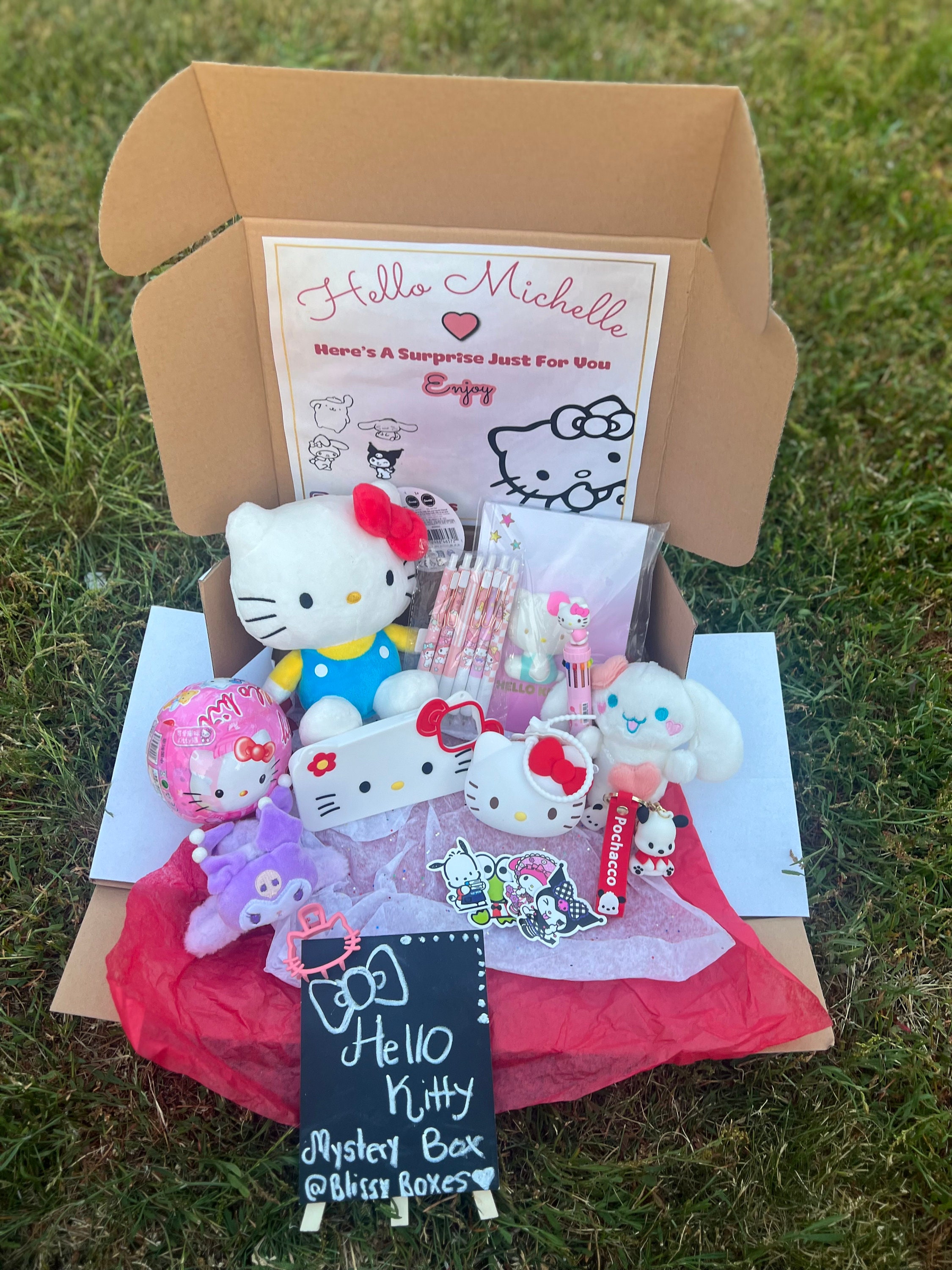 Sanrio Mystery Gift Box – GoodChoyice