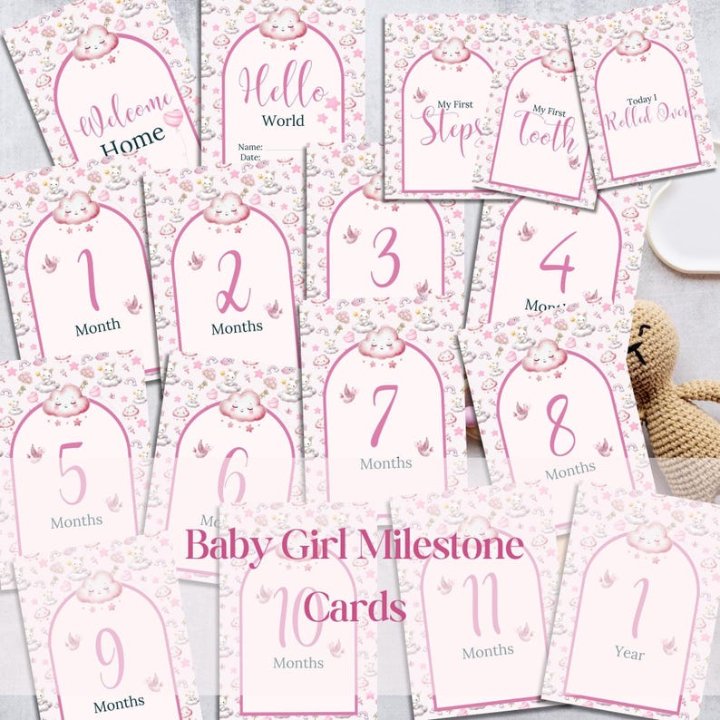 Baby Girl Milestone Cards | Pink Monthly Photo Prop (5x7 Printable) - Etsy