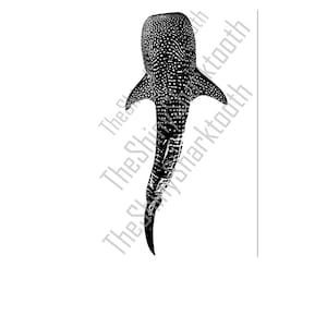 Whale Shark SVG