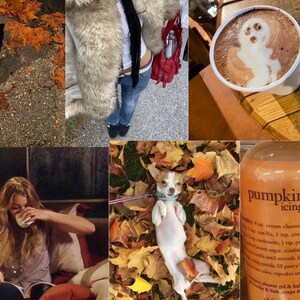 Fall Vision Board