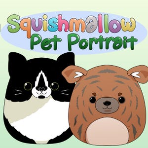 Your Pet as a Squishmallow