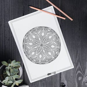 Line Art Coloring Page | “Life Cycle” | Coloring Hand drawn Art | Not AI Generated | Adult Coloring
