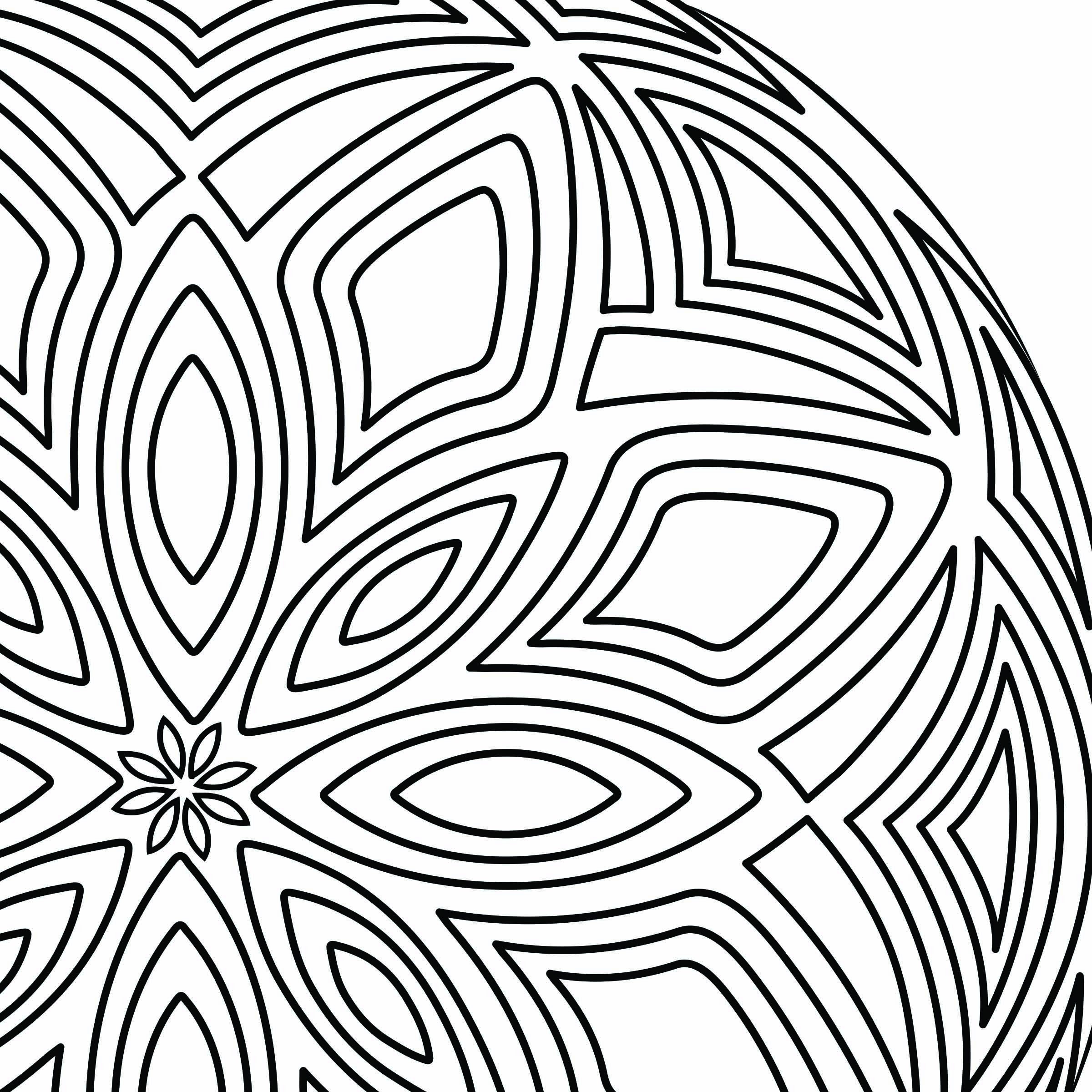 Line Art Coloring Page life Cycle Coloring Hand Drawn - Etsy