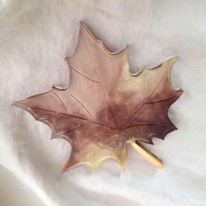 May include: A maple leaf-shaped decorative object with a gradient of colors from light yellow to dark brown. The leaf has detailed vein patterns and a small, light-colored stem.