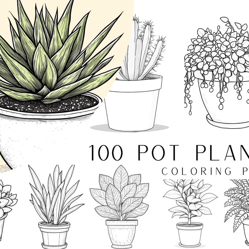 Plant Coloring Book - Etsy