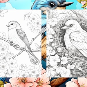 25 Cute Bird Coloring Pages - Adults and Kids Coloring Book, Digital ...
