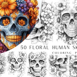 50 Floral Human Skull Coloring Pages - Adults And Kids Coloring Book, Digital Coloring Sheets, Instant Download, Printable PDF File.