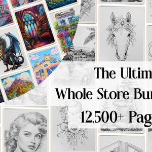 May include: A collection of digital art prints, including a dragon, fantasy landscapes, and a horse with floral accents. The text reads "The Ultimate Whole Store Bundle 12,500+ Pages."