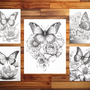 May include: Four black and white pencil drawings of butterflies on flowers. Each drawing features a different butterfly species and floral arrangement.