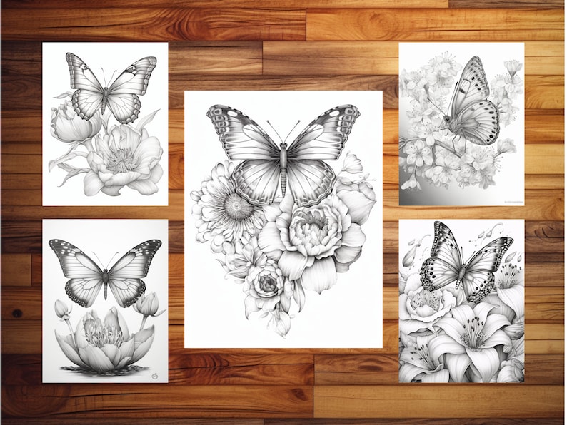 May include: Four black and white pencil drawings of butterflies on flowers. Each drawing features a different butterfly species and floral arrangement.
