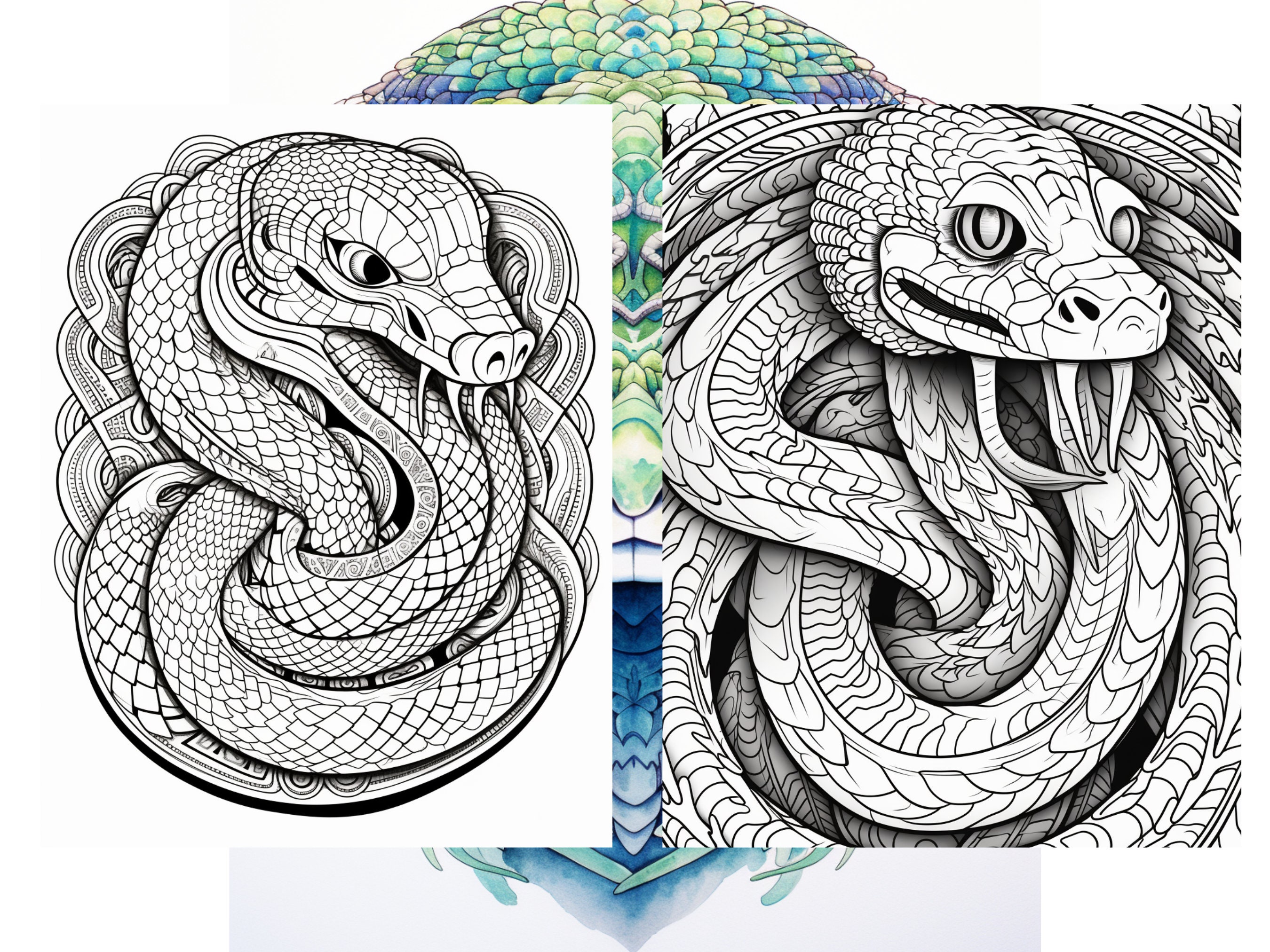25 Patterned Snake Coloring Pages - Adult and Kids Coloring Book ...