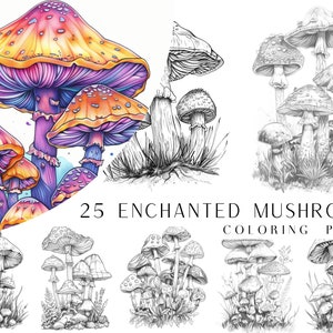 K&ouml;nnte beinhalten: 25 verzauberte Pilz-Malvorlagen. Ein Set mit Malvorlagen, die verschiedene Pilzarten in Schwarzwei&szlig;-Linienkunst zeigen. Die Pilze sind in verschiedenen Gr&ouml;&szlig;en und Formen dargestellt, einige mit filigranen Details.