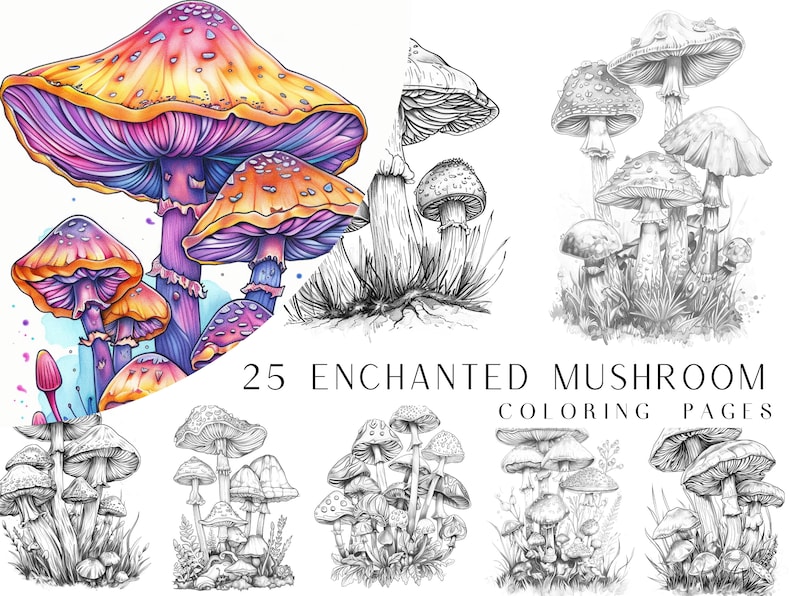K&ouml;nnte beinhalten: 25 verzauberte Pilz-Malvorlagen. Ein Set mit Malvorlagen, die verschiedene Pilzarten in Schwarzwei&szlig;-Linienkunst zeigen. Die Pilze sind in verschiedenen Gr&ouml;&szlig;en und Formen dargestellt, einige mit filigranen Details.
