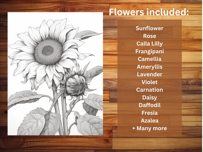 100 pages à colorier de fleurs élégantes - livre de coloriage pour adultes et enfants, niveaux de gris, feuilles de coloriage numériques, téléchargement immédiat, fichier PDF imprimable. image 7